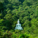 Bouddha au milieu de la végétation à Mihintale